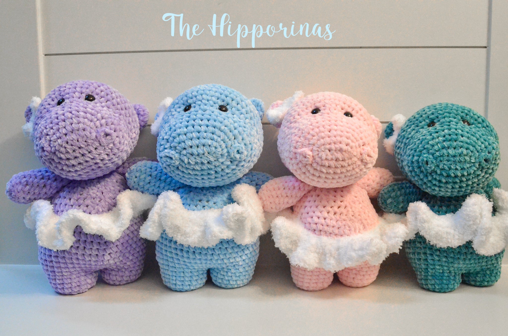 "Sugar Plum" Hipporina